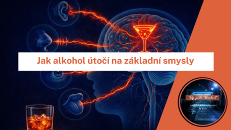 Alkohol oslabuje smysly a&nbsp;zpomaluje reakce člověka